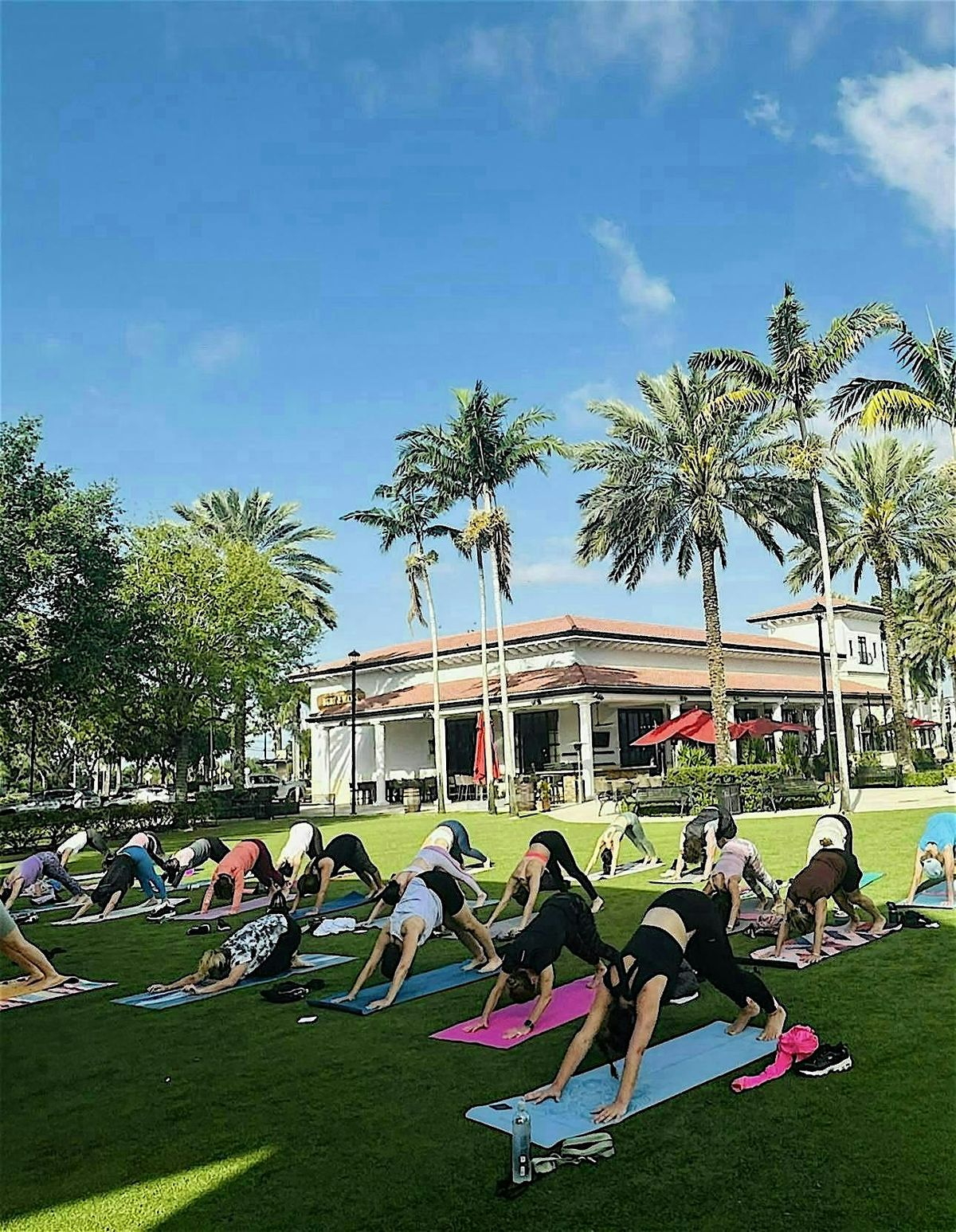 Wellness Wednesdays: FREE Community Yoga with Kim Rose Flows Yoga