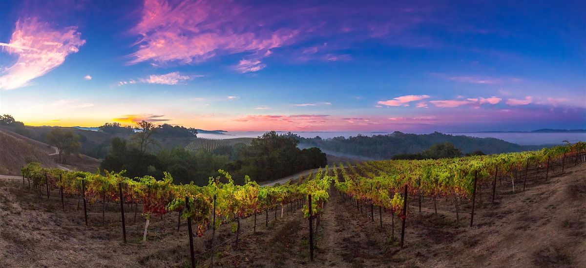 Sunset Happy Hour at Notre Vue Estate Winery