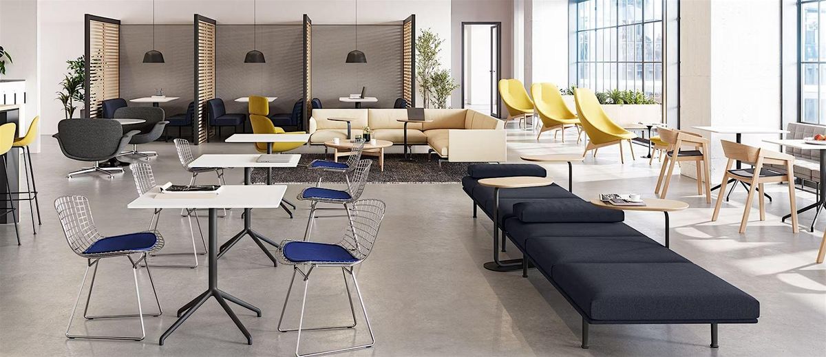 Human Factors in Workplace Design: Designing Spaces That Are More Naturally