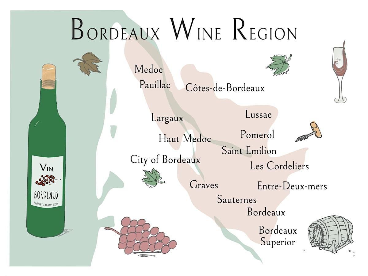 Meet The producer  - Florent  Caldier - Discover Bordeaux  Wines