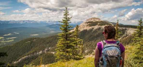 Guided Hiking Fitness Series - 5 Weeks