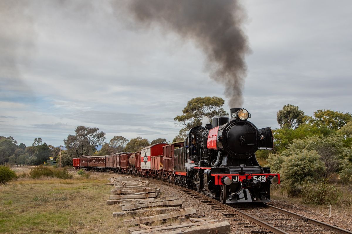 Victorian Colonial Express