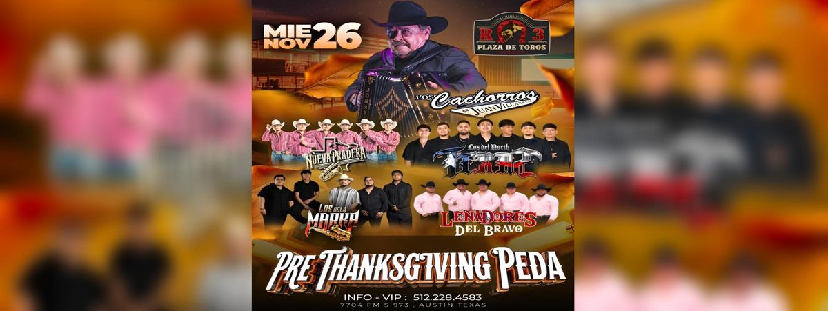 LOS CACHORROS DE JUAN VILLA REAL & MAS