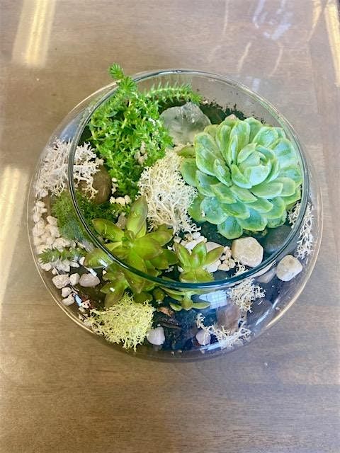 Succulent Terrarium Workshop