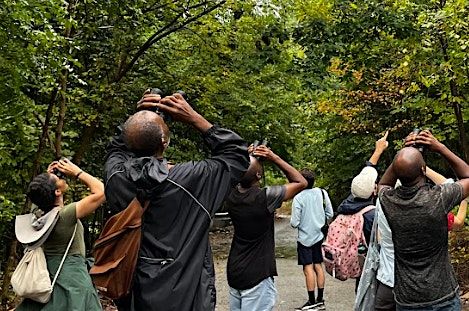 Spring Migration Bird-Watching Walk