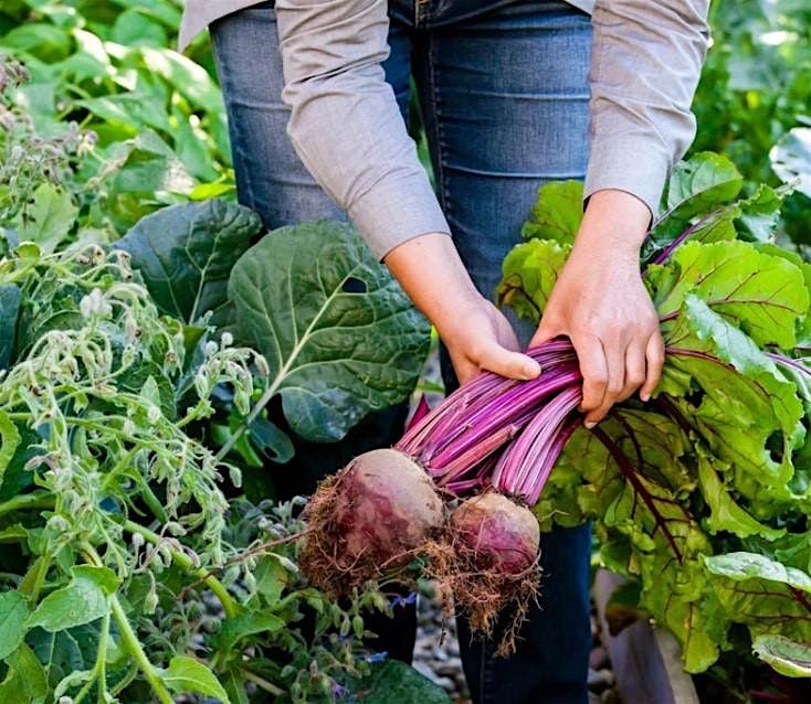 FREE Gardening and Cooking Class Series