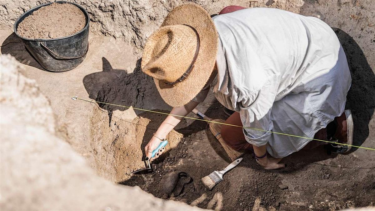 Digging Deeper: Stories in Local Archaeology Surviving Extinction: Land Cla