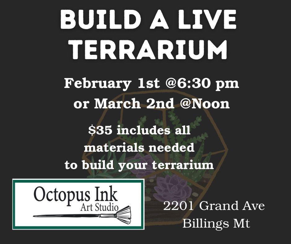 Build a LIVE terrarium 