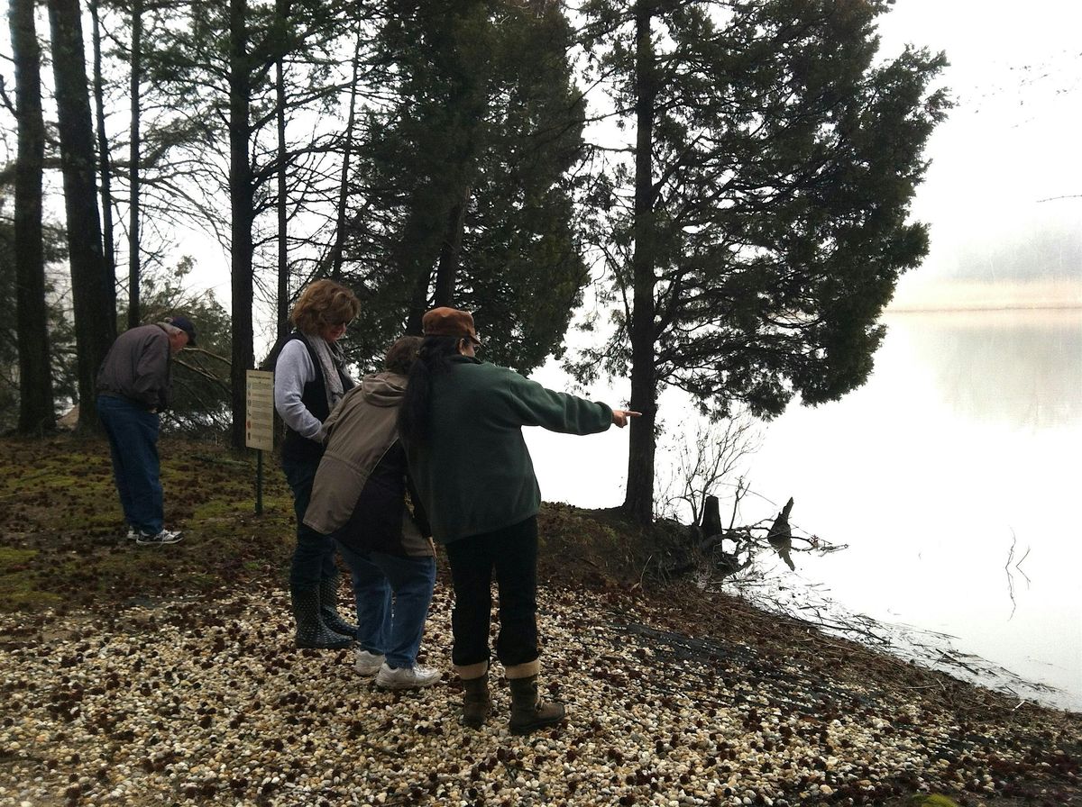 Winter Hike at the Blackbird Creek Reserve