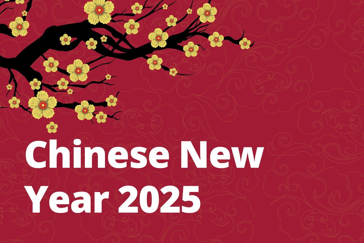 \ud83d\udc0d Chinese New Year 2025 \u2728