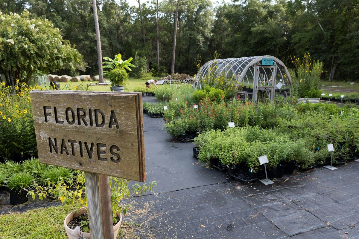 Bring Your Landscape to Life; Sustainable Gardening with Native Plants