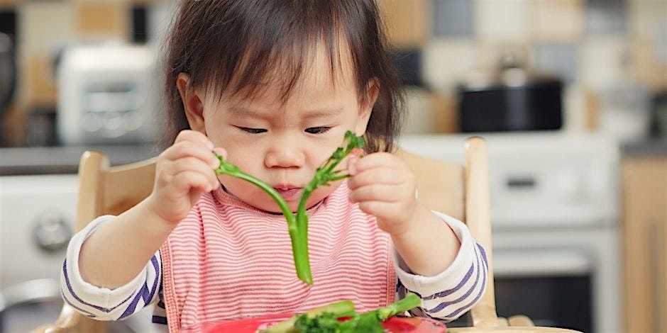 Introduction to Solid Foods Workshop, 25\/10\/2025