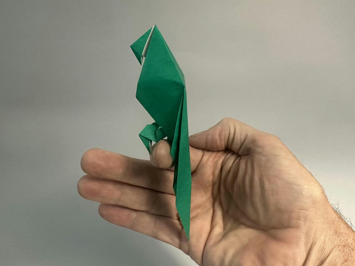Origami Palooza Fold with Robert Lang