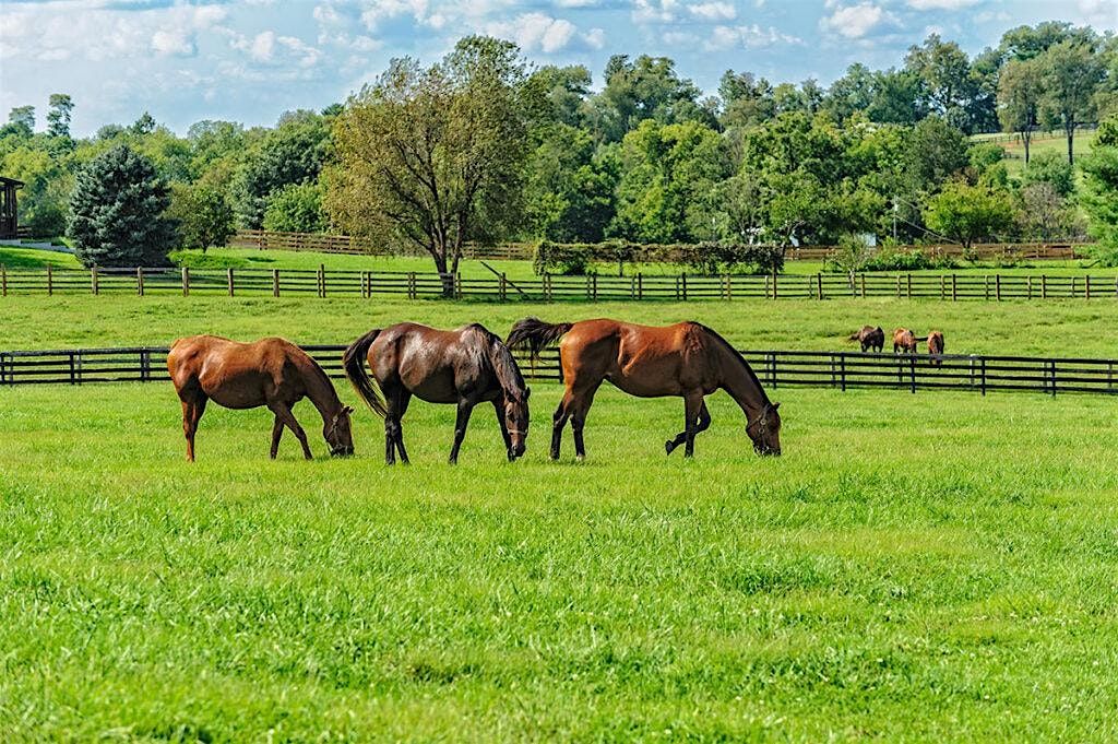 Equine Pasture Management Workshop