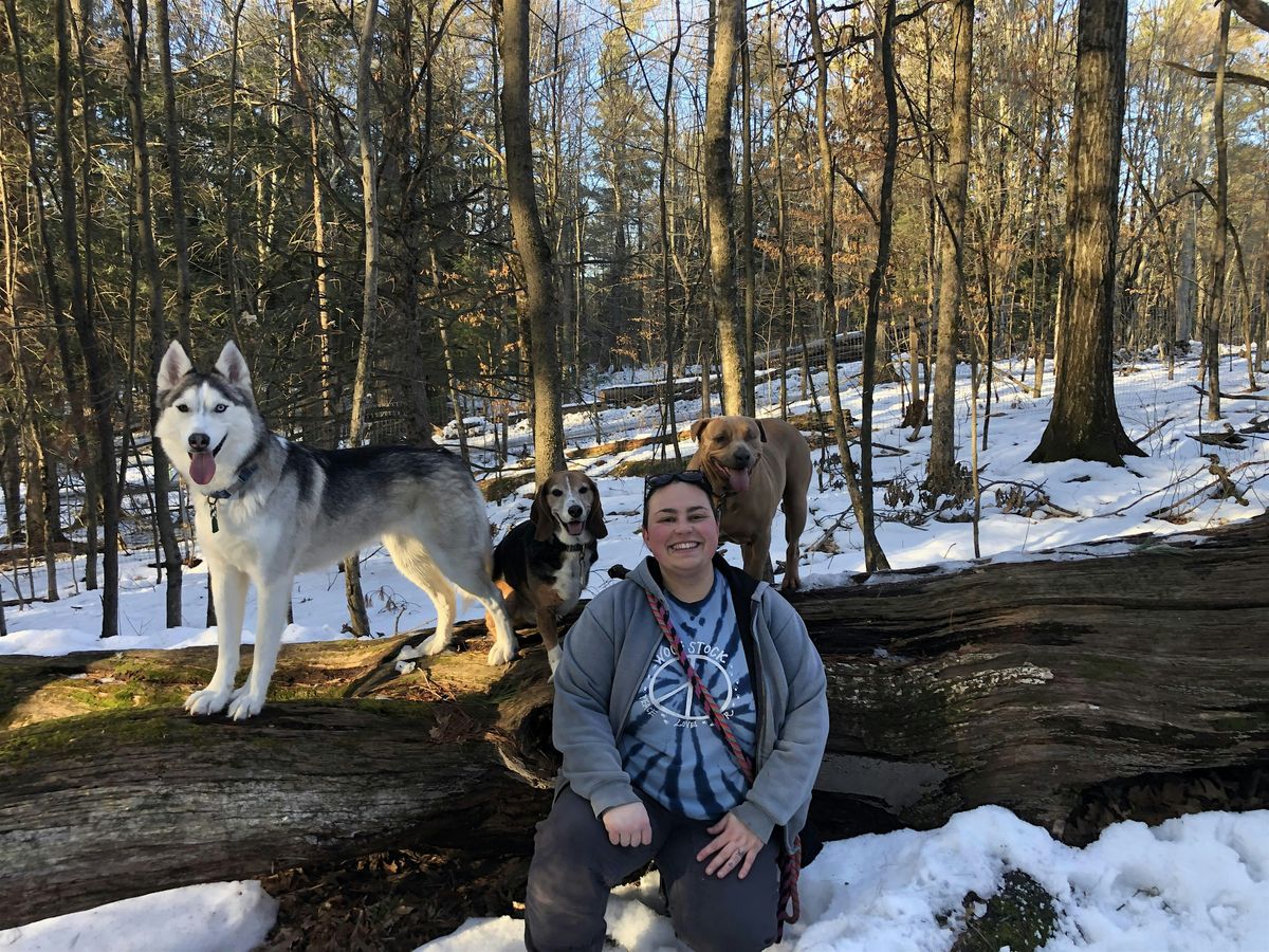 Dog Trainers\u2019 Retreat on Aggression and Reactivity