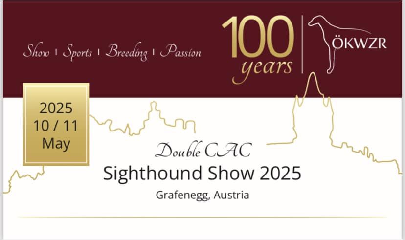 Double CAC Sighthound Show 2025