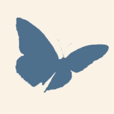 Metamorphosis Network