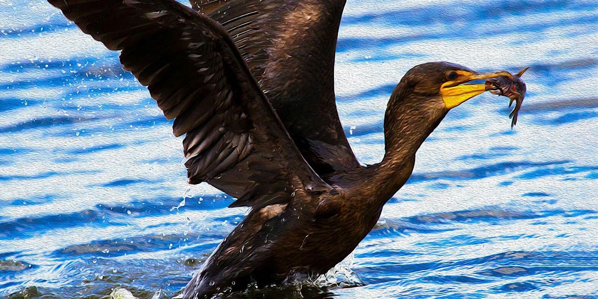 FIELD TRIP: Toni Robinson Waterfront Trail