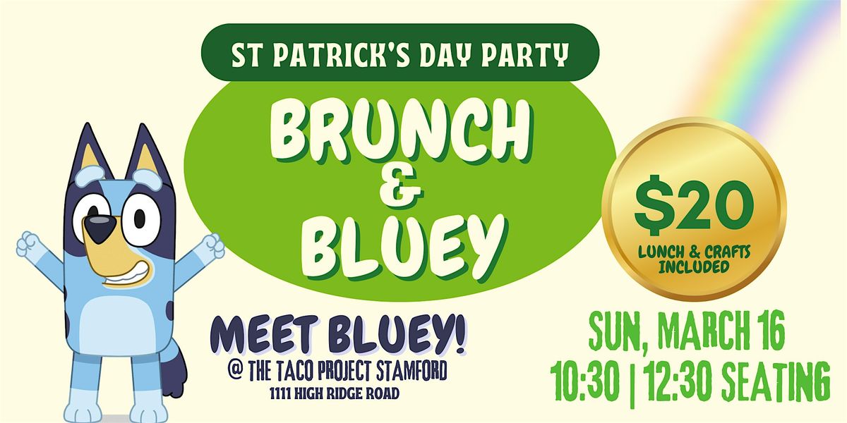 Bluey St Patricks Day Party!