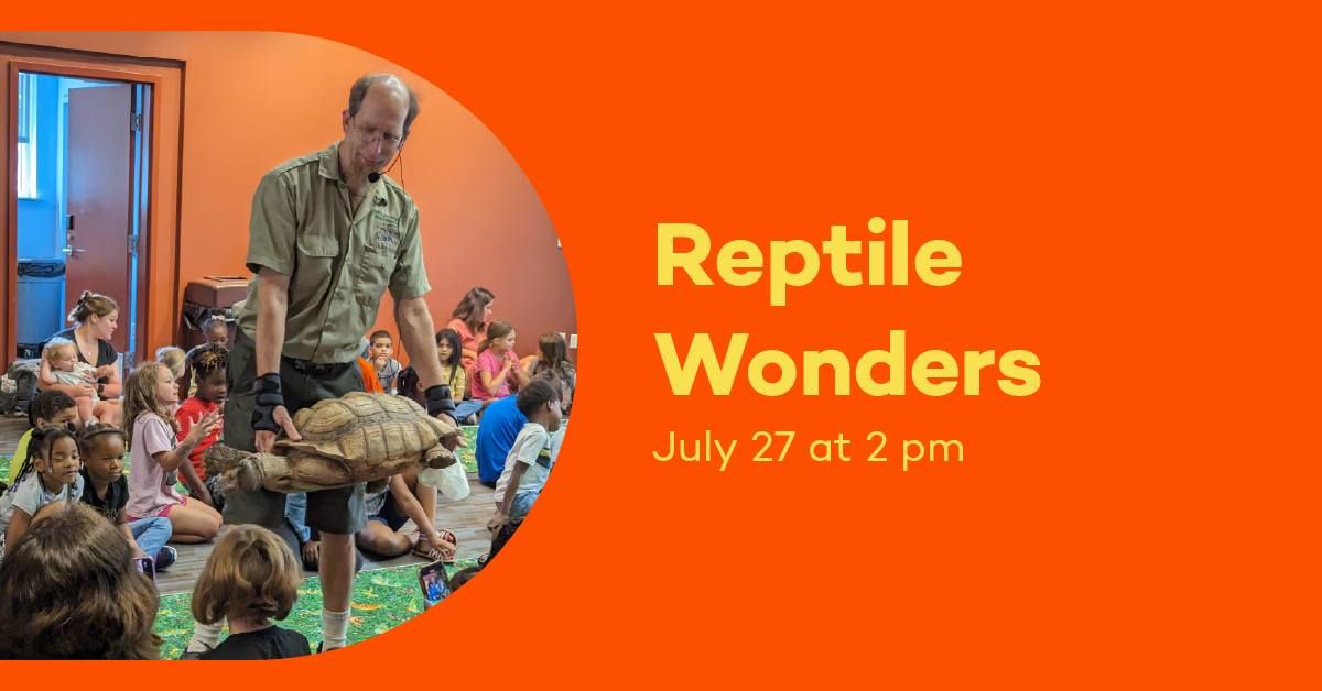 Reptile Wonders
