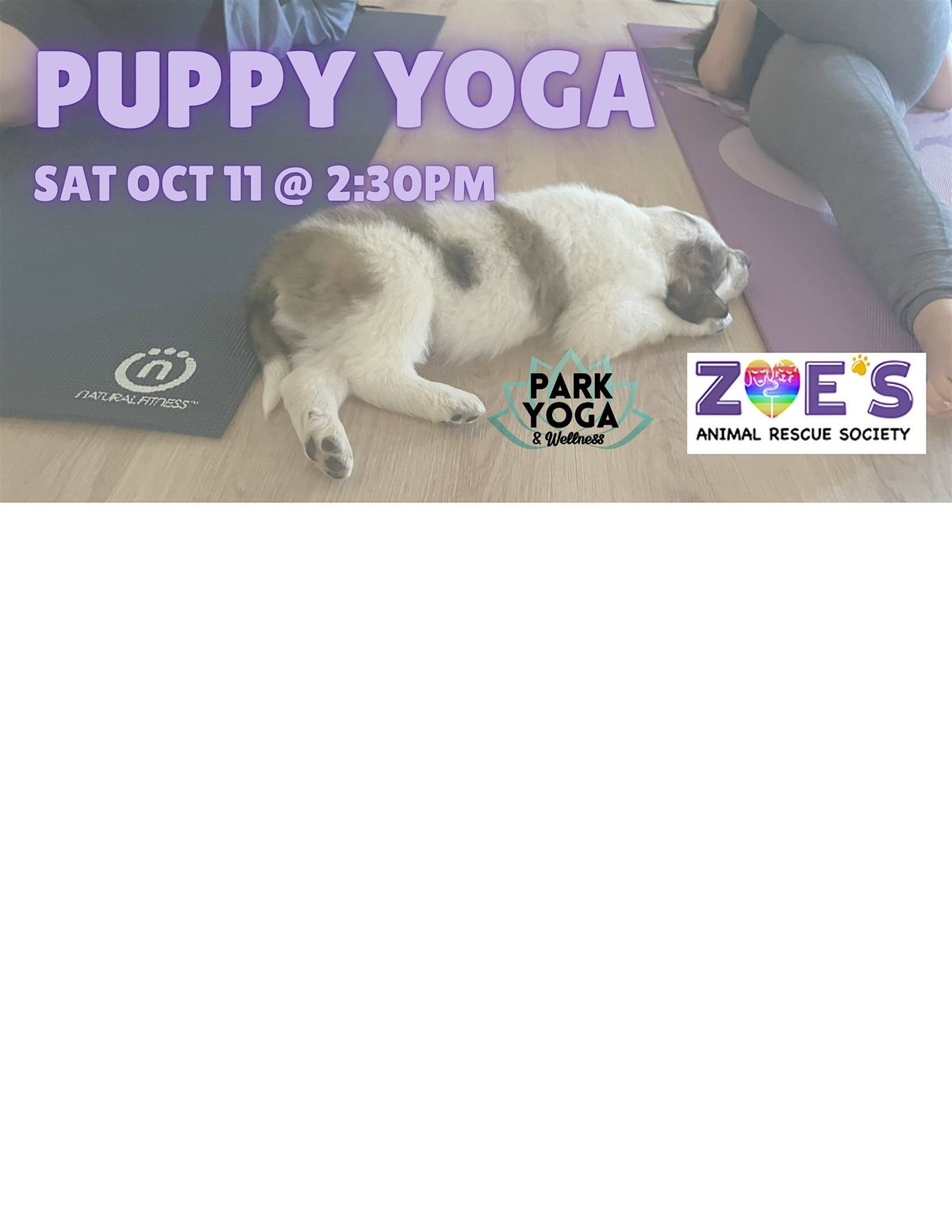 Puppy Yoga