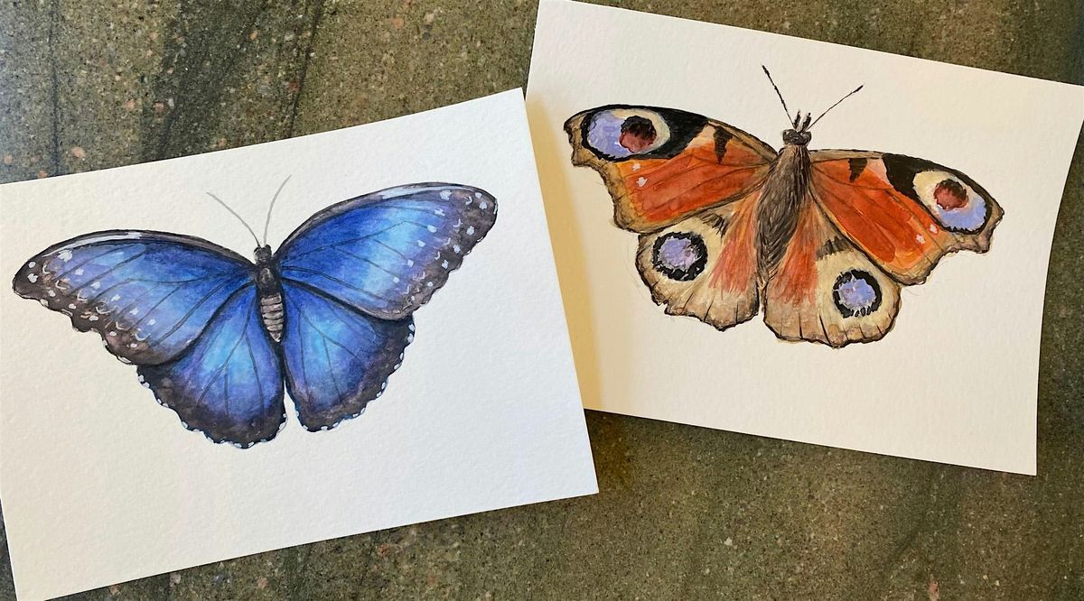Paint Night - Butterflies & Moths