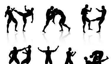 Martial Arts \/ Self Defence Class