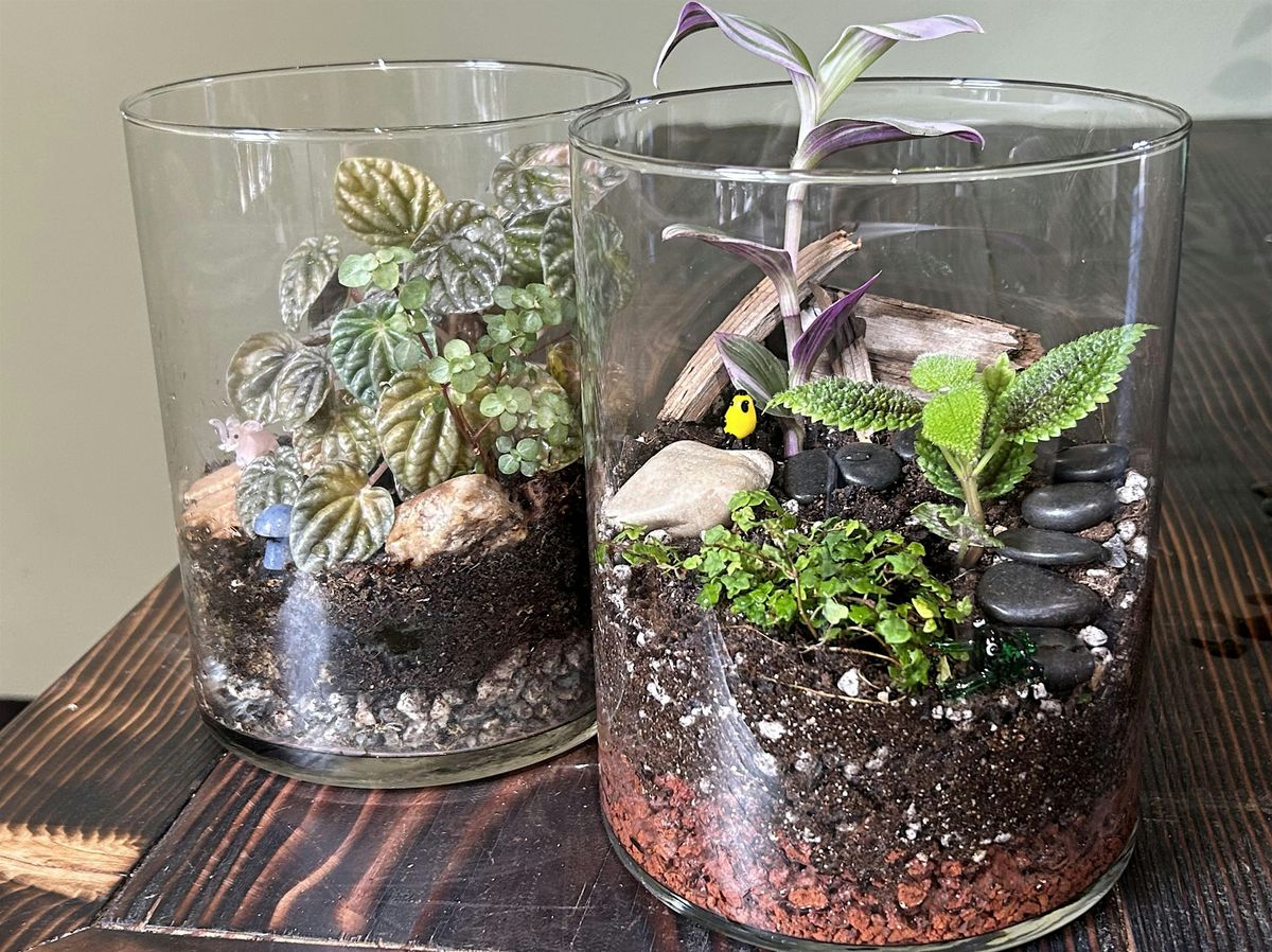 Terrarium Building Workshop at Moss Houseplants October 17th