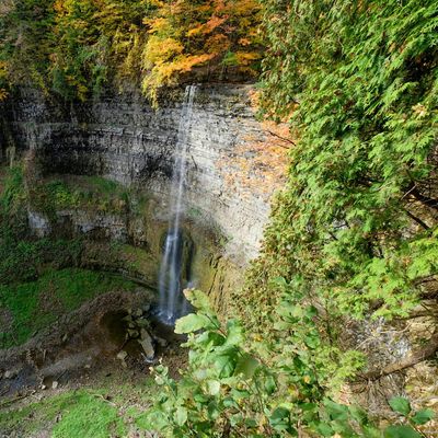 Hamilton Community Mindfullness