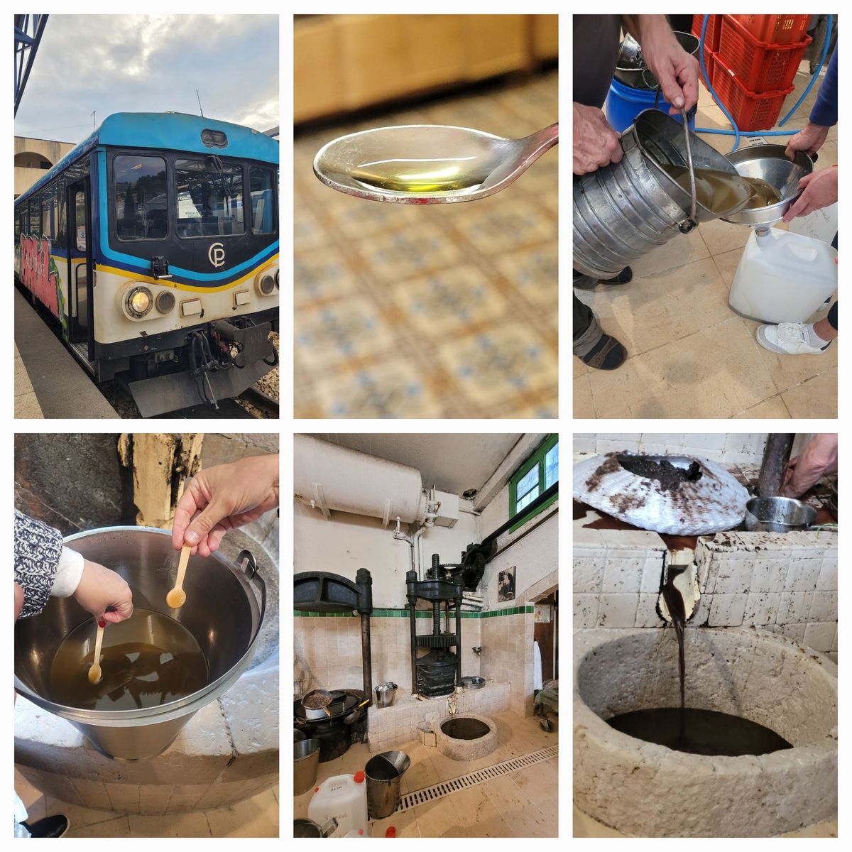 Train ride and visit of a traditional olive oil mill \ud83e\uded2 