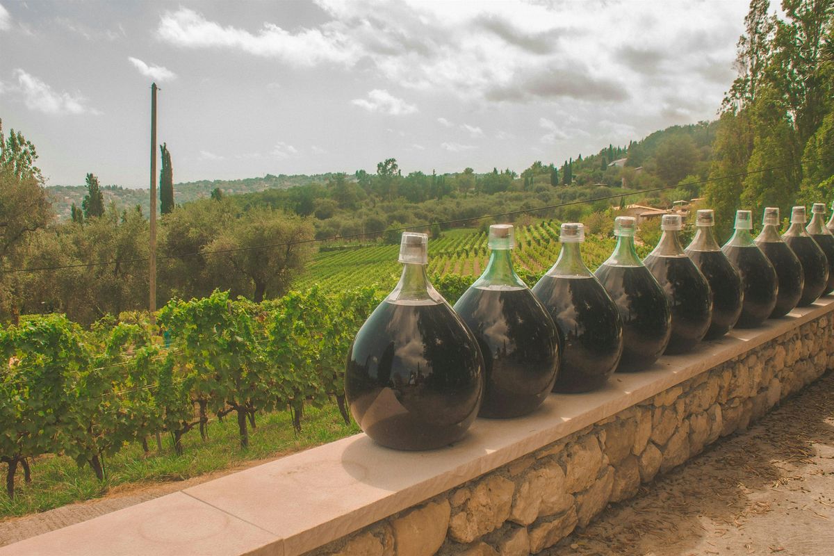 The Art of Wine: Tasting Winemaking