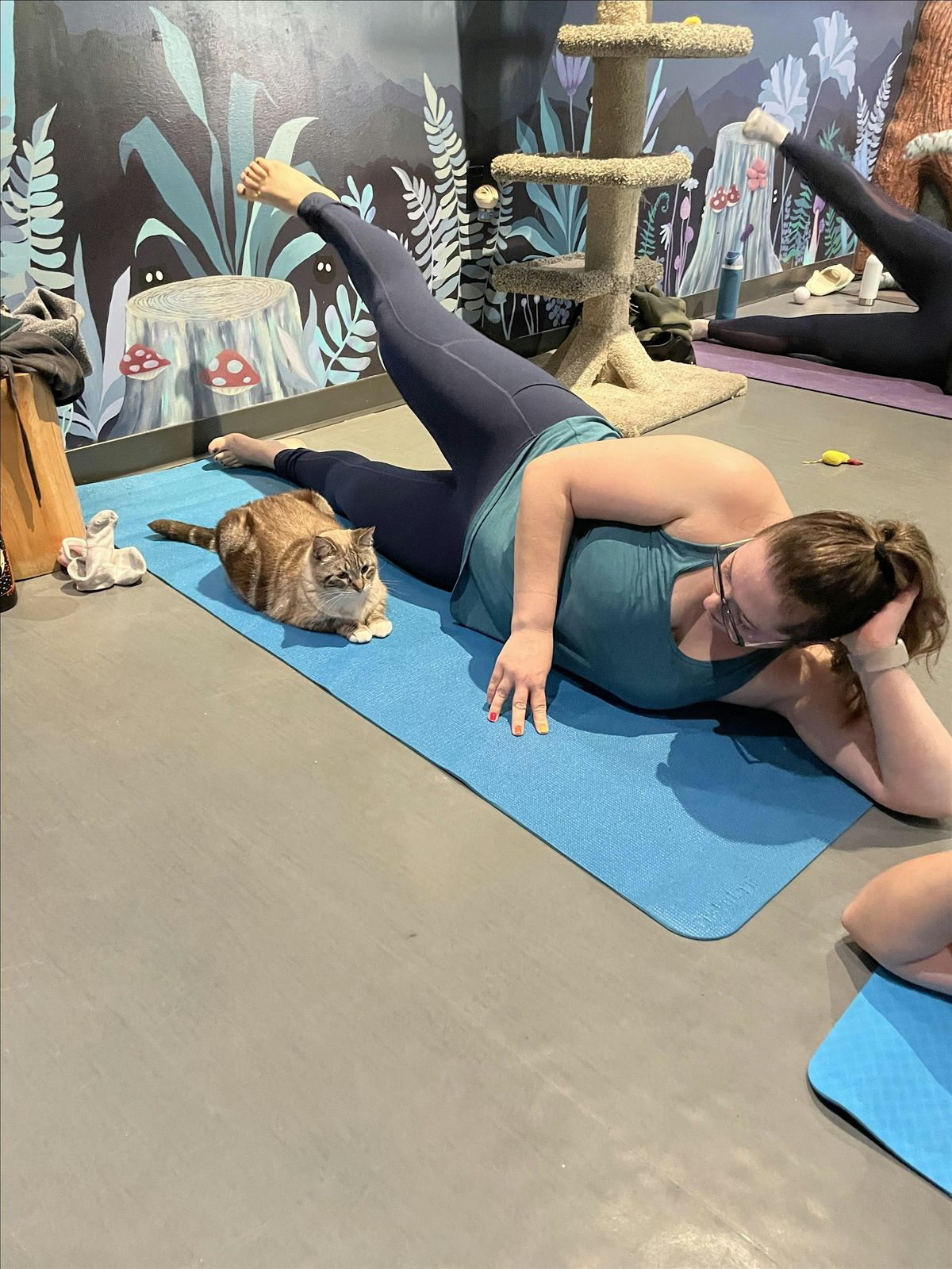 Barre Fitness with Cats