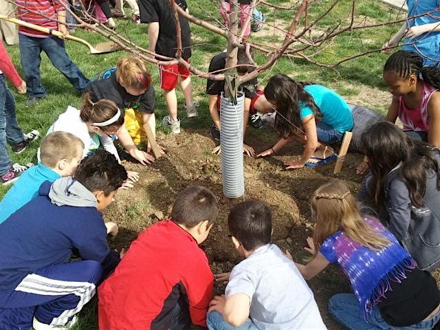 2025 Tree City USA Celebration