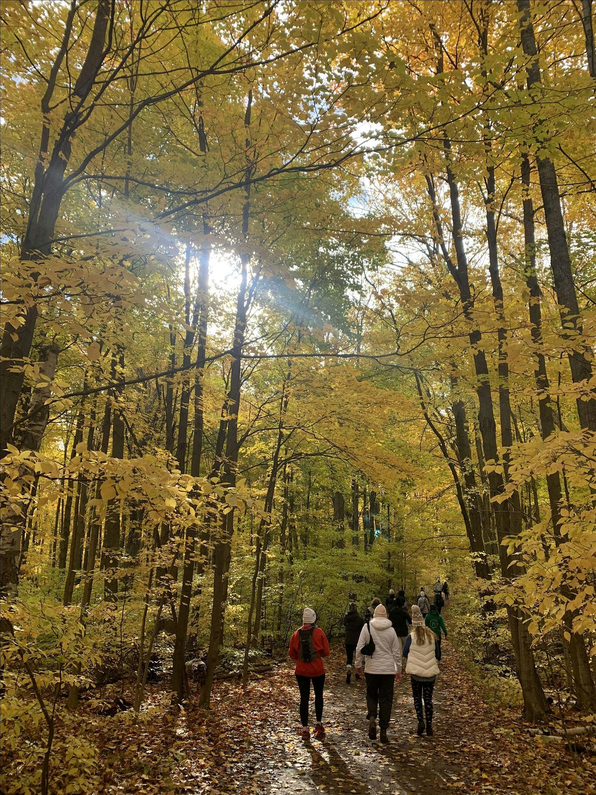 Fall Hike & Adamo Winery Brunch