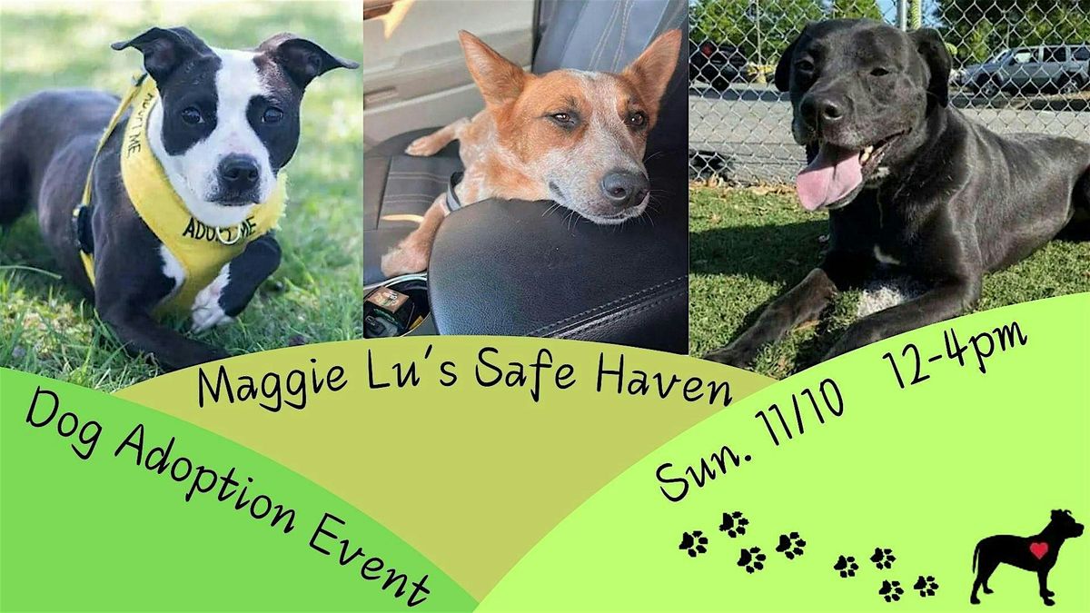 Maggie Lu's Safe Haven Adoption Event