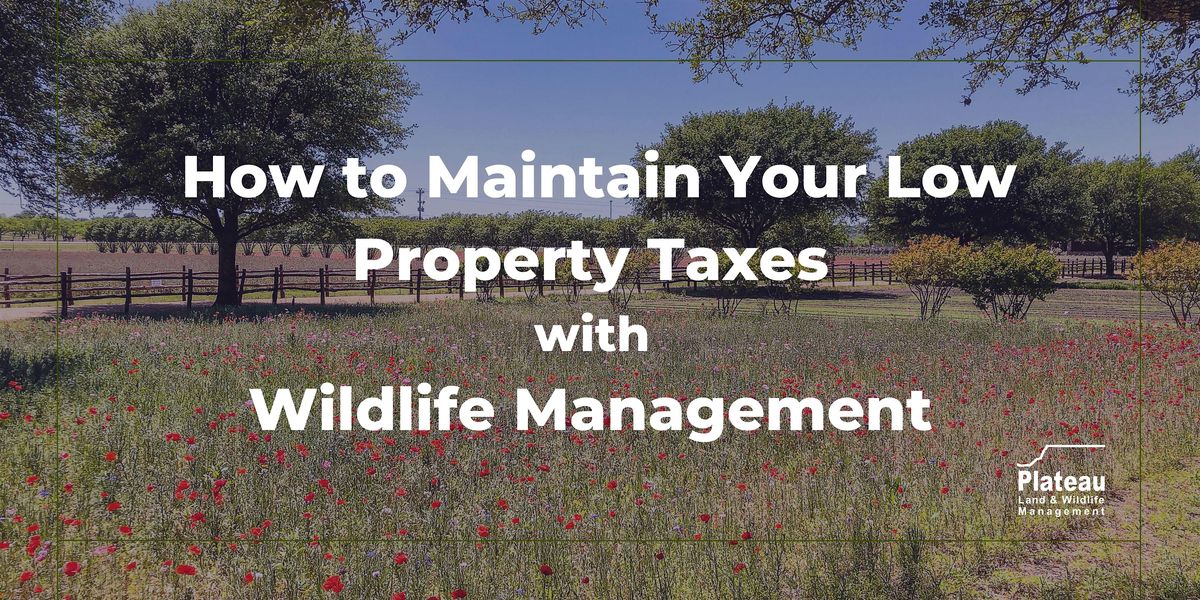 Maintain your Low Property Taxes with Wildlife Management -Waco