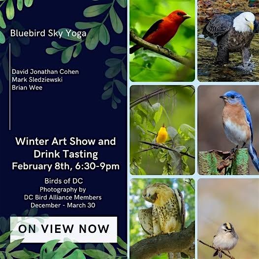 Photography Exhibit and Drink Tasting