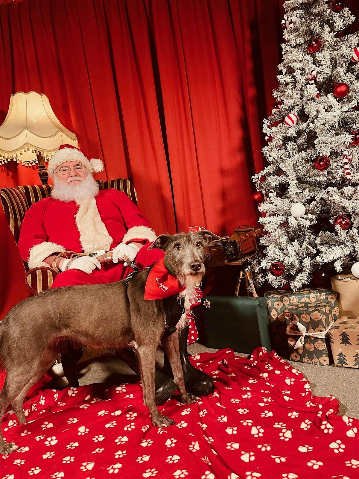 Santa Paws: Bring your dog to meet Santa at Belfast Exposed