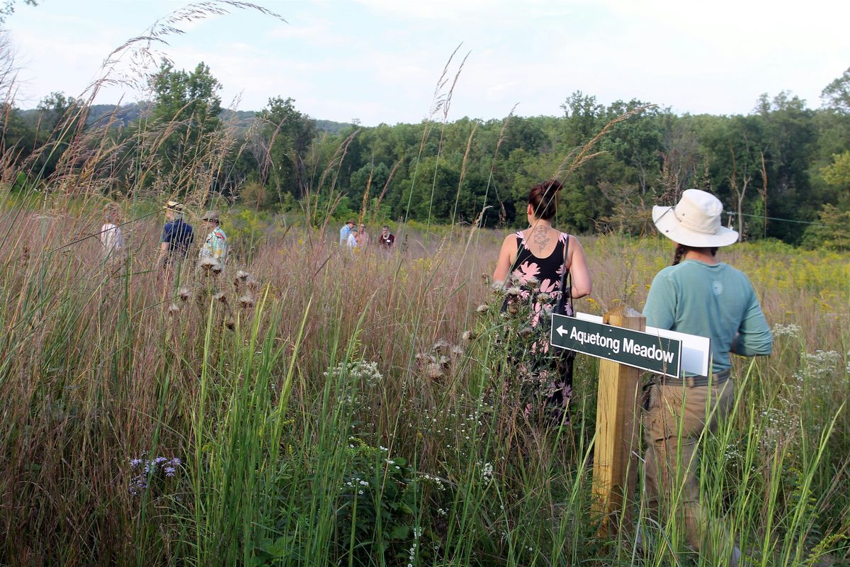 Bowman's Hill Wildflower Preserve and Thompson-Neely Grist Mill Tour