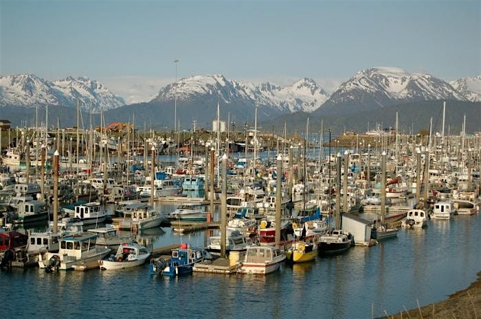 Awesome Scavenger Hunt! - Homer's Great Alaskan Adventure: A Scavenger Hunt