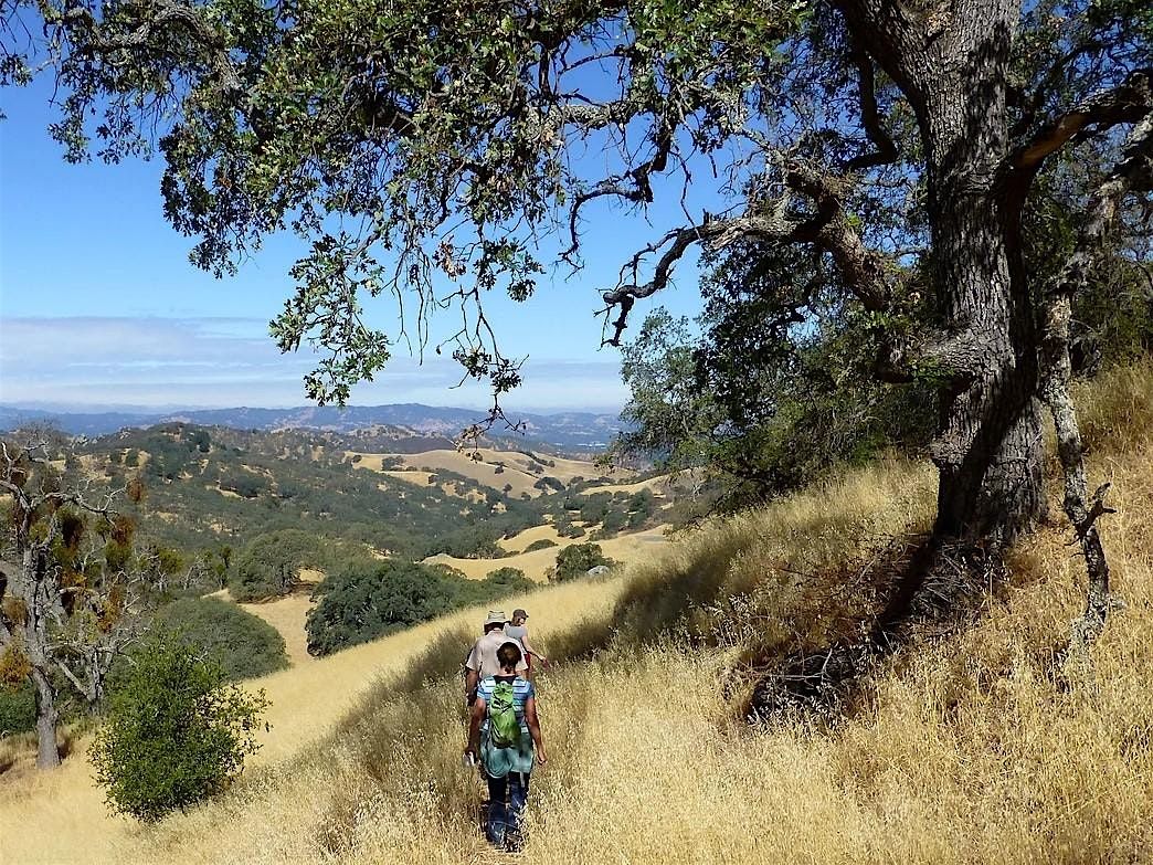 Camel Rock Hike