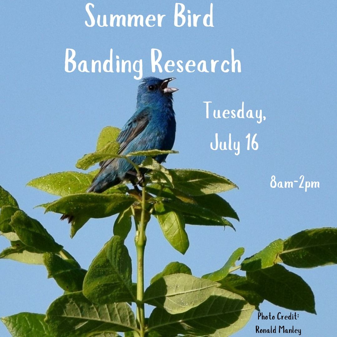 Observe Summer Bird Banding Research