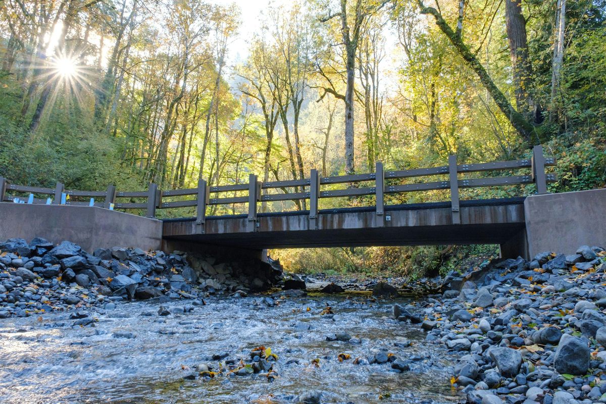 Joint Permit Applications: Navigating Oregon\u2019s Environmental Permitting