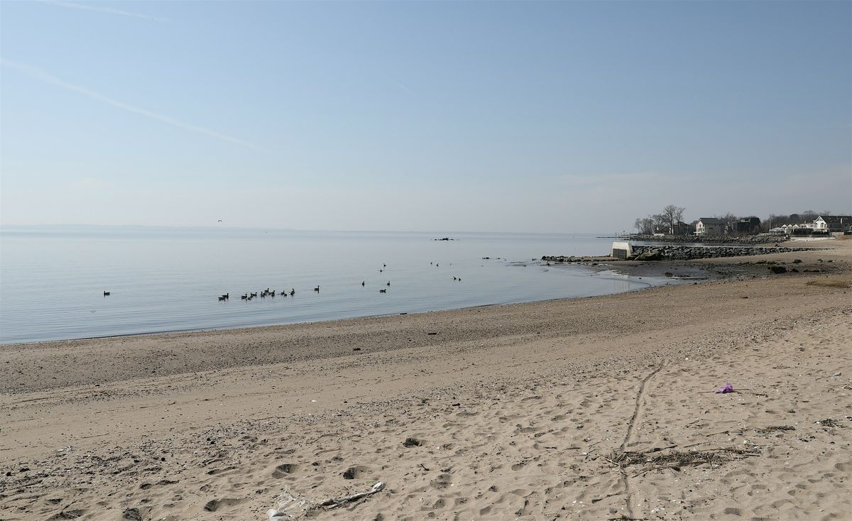 Crescent Beach Park Cleanup