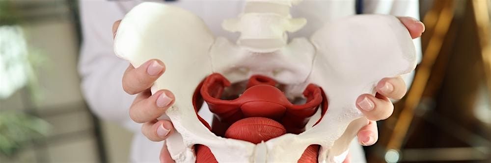 Introduction to All Things Pelvic Floor Physical Therapy