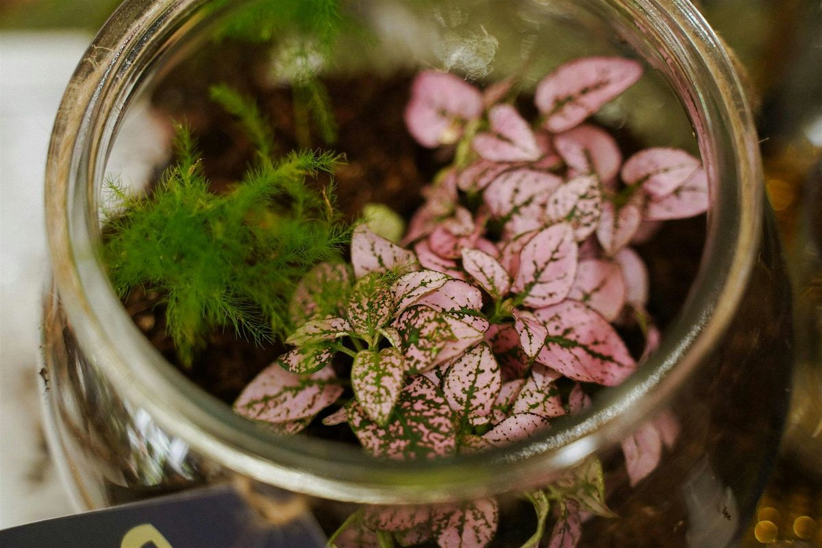 Mindful Terrarium Workshop