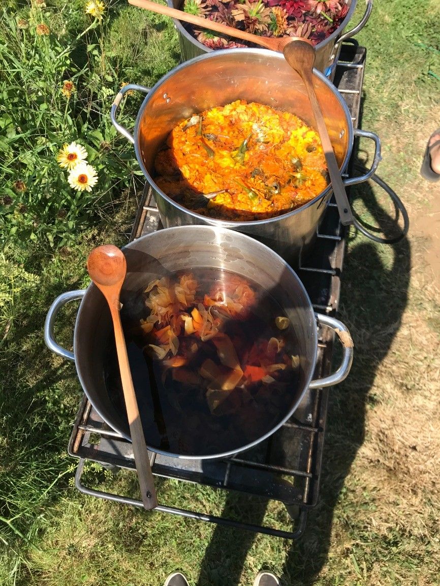 Local Plants for Natural Dyes and Pigments 