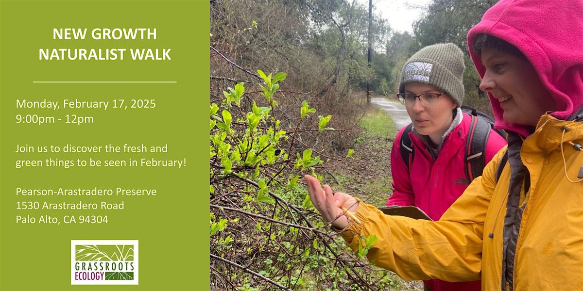 New growth  Naturalist Walk at Pearson-Arastradero Preserve