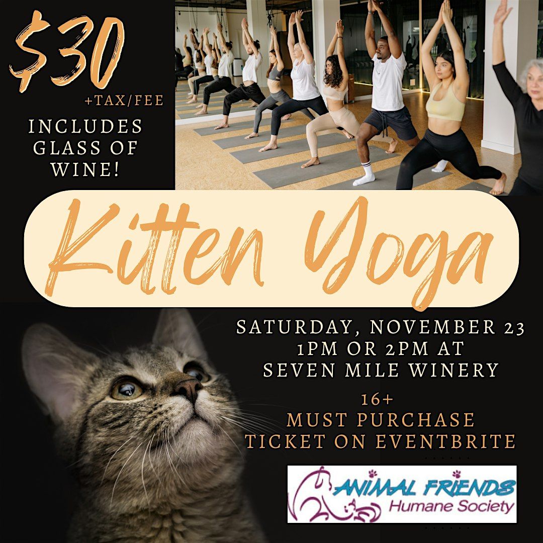 Kitten Yoga at Seven Mile Winery (1pm class)