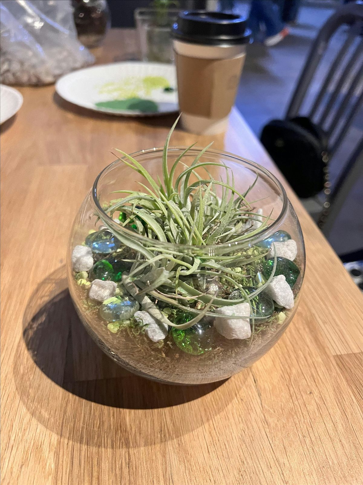 Terrarium Building Workshop